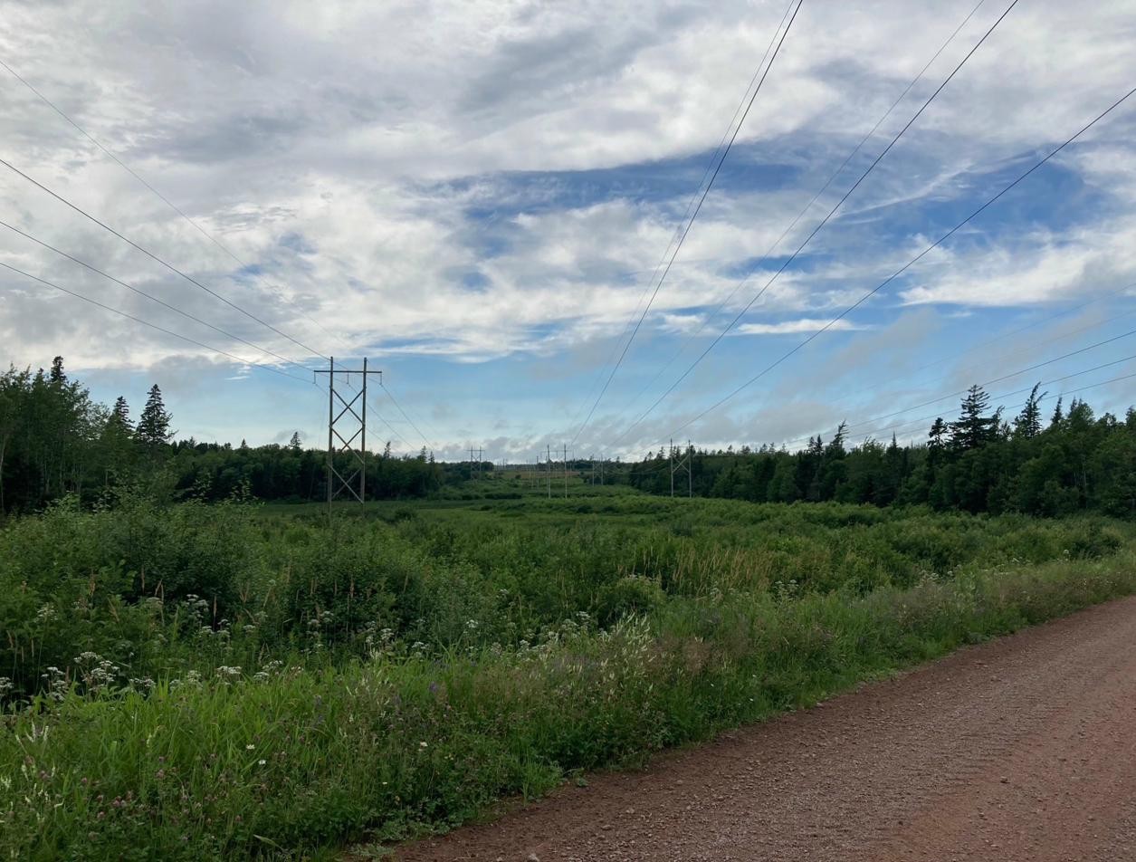 Cookville transmission corridor